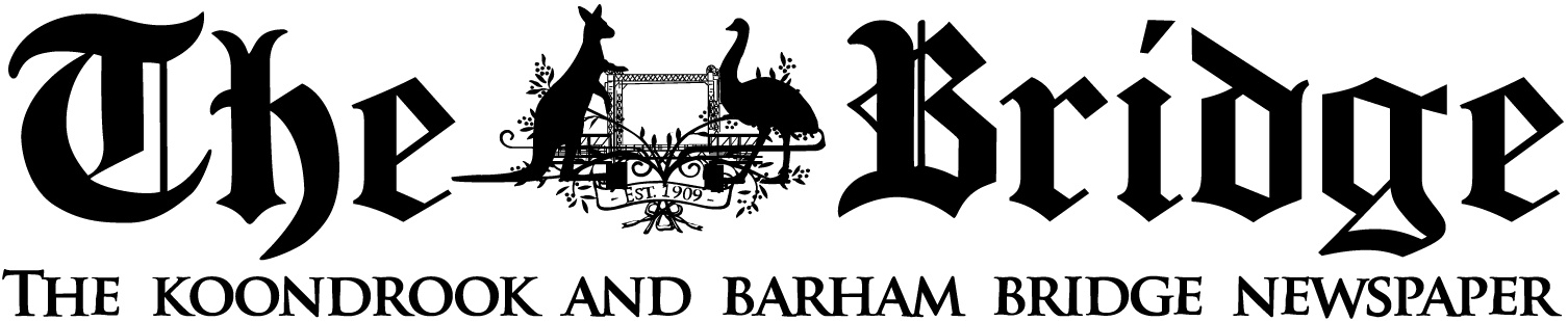 The-Bridge-logo-REVERSE-4 client-image