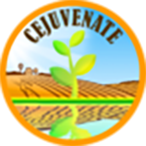 cropped-CEJUV-LOGO-3-146 client-image